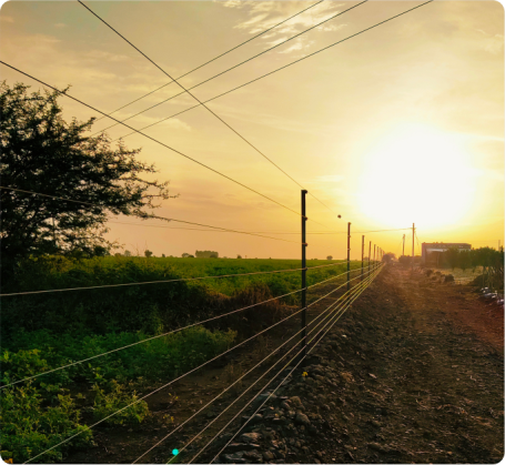 Choosing the Right Energizer