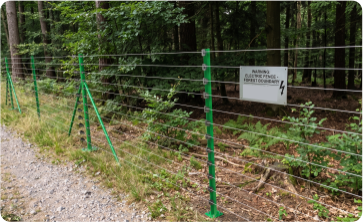 Forest Boundaries
