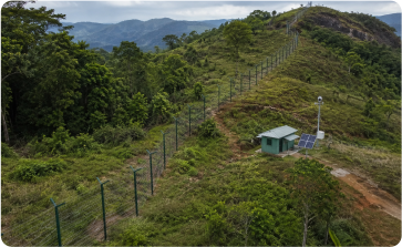 Remote Forest Locations